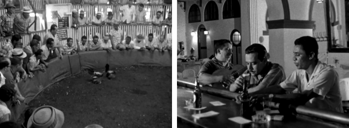 ArticleDoresteRodriguez Fig 9-10